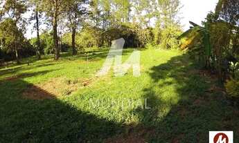 Imagem 7: Chacara (chacara