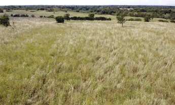 Imagem 3: Fazenda em Flores de Goiás (1.033 ha