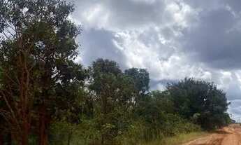 Imagem 7: FAZENDA À VENDA EM RIACHÃO - MA - 2.120 HECTARES (DUPLA APTIDÃO