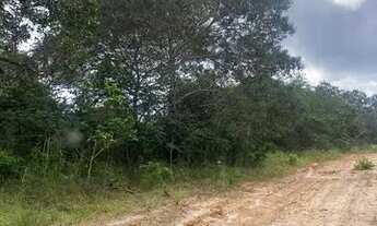 Imagem 6: FAZENDA À VENDA EM RIACHÃO - MA - 2.120 HECTARES (DUPLA APTIDÃO