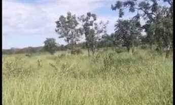 Imagem 2: Sitio 13 hectárea