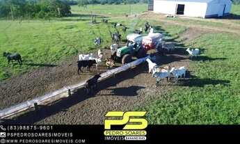 Imagem: Fazenda à Venda, 23000 Hec² Por R$ 120.000,00