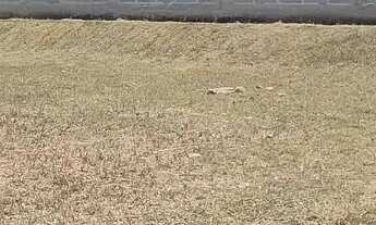 Imagem 2: Lote/Terreno para venda tem 441 metros quadrados em Vila Menino Jesus - Caçapava - São Pau