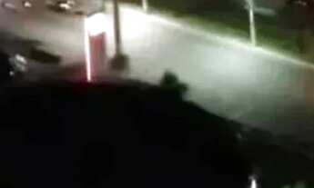 Imagem 2: Apartamento com 1 Quarto e 1 banheiro para Alugar, 55 m