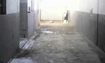 Imagem 7: Casa para alugar, 200 m² por R$ 1.500,00/mês - Centro - Fortaleza/CE