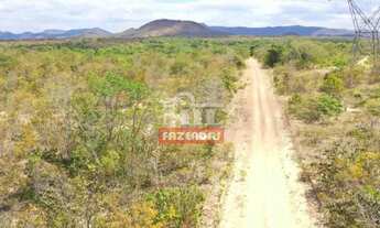 Imagem 4: Fazenda 960 alqueires (4.646 hectares) Colinas Do Sul - Go
