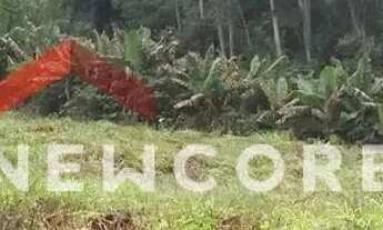 Imagem 2: Lote em Estrada da cruzinha - Cruzinha - São Francisco de Paula/RS