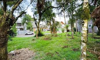 Imagem 5: Terreno à Venda em Canela!