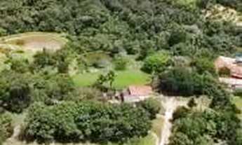 Imagem 7: Fazenda 24 alqueires