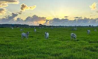 Imagem 2: Fazenda em Caraiva