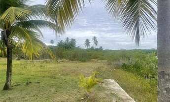 Imagem 4: Lote à venda em rua pública, JACUÍPE , Camaçari, BA