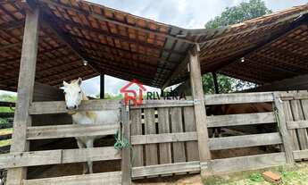 Imagem 4: Terreno Comercial à Venda em São Luís-MA Bairro Tibiri 34.640,00 m² de Área