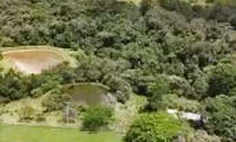 Imagem 3: Fazenda 24 alqueires