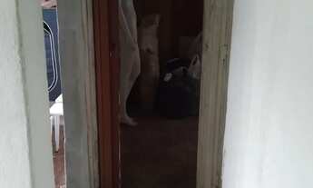 Imagem 7: Apartamento na Rua Peru - Direto c/ Proprietário