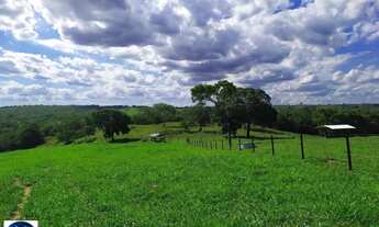 Imagem: Fazenda à Venda em Morrinhos (GO) 128 Hectares