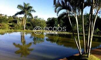 Imagem 7: Chácara à venda, 3 quartos, 1 suíte, 20 vagas, Patrimônio - Uberlândia/MG