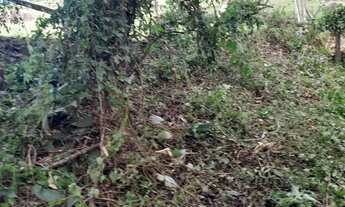 Imagem 5: Terreno de 3643.79m² no bairro Sambaqui