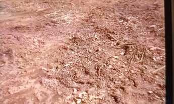 Imagem 4: Vende lote quitado