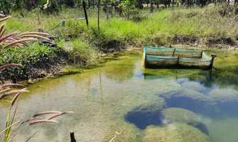 Imagem 4: Sitio no Bointento