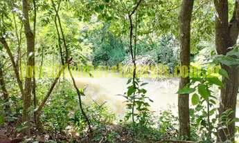 Imagem 5: Sítio 2,50 hectares, muita água, entre Uberlândia e Monte Alegre