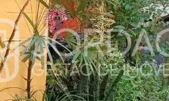 Imagem 3: Casas, 4 Dormitórios