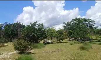 Imagem 4: FAZENDA EM AURORA DO TOCANTINS