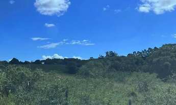 Imagem 6: Imóvel para venda tem 1404000 metros quadrados com 4 quartos em São Vicente de Paula - Ara