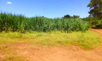 Imagem: Vende-se sítio de 13 alq em São Carlos