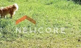 Imagem 5: Lote em Estrada elias ficher - palmeirinha - Juquitiba/SP