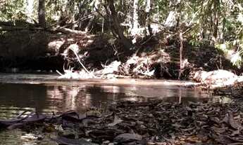 Imagem: Vendo ou TROCO Chacara meio HECTAR em águas