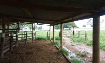 Imagem 3: Chácara Completa de 7 Alqueires à Venda em São Luís de Montes Belos GO