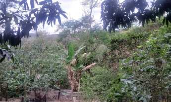 Imagem 6: Vendo chácara Chácara com venda por R$190.000