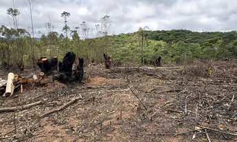 Imagem 4: Poucos terrenos, muita procura Rota do Vinho