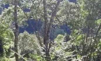 Imagem 2: EXCELENTE CASA A VENDA COM VISTA PANORÂMICA