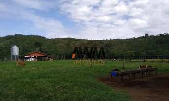 Imagem 3: Fazenda 23,5 Alqueires rica em água á venda por R$ 5.000.000 - Vila República - Goiás/GO