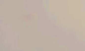 Imagem 6: APARTAMENTO - CAMBUCI - SP