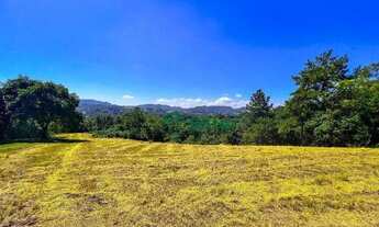 Imagem 7: Sítio de 3 hectares em Morungava