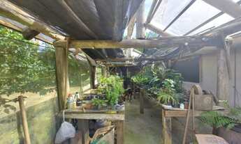 Imagem 6: Linda Chácara na Estrada Bonita em Pirabeiraba!