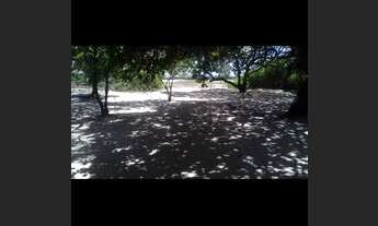 Imagem 4: Vendo ou troco granja em aningas a 400 metros da BR 101