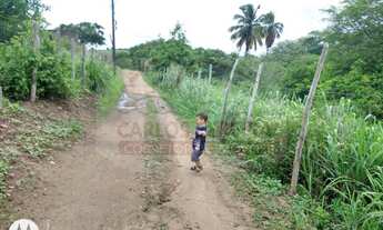 Imagem 2: Vendo 8,3 Mil Metros em Rusinha -Gravatá -PE Ref 448