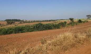 Imagem 3: Sitio cidade Itaju 5 alqueires agricultura terra boa pertinho da cidade