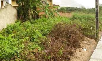 Imagem 2: Vendo terreno em gravata