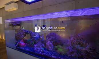 Imagem 4: SãO BERNARDO DO CAMPO - Apartamento Padrão - Centro