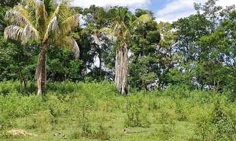 Imagem 7: Sítio para Venda em Taquaraçu de Minas, Engenho, 3 dormitórios, 1 suíte, 1 banheiro, 2 vag