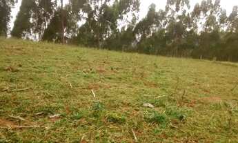 Imagem 6: Sitio de 20 alqueires em Lagoinha, a 700 metros da Rodovia