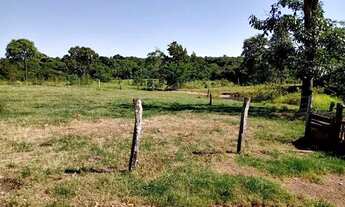 Imagem 6: Fazenda de 61 Alqueires ! Região de Estrela do Norte - GO !