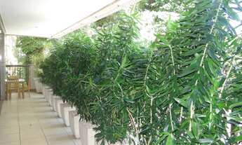 Imagem: Venda Pra quem Quer Morar em Casa, Com