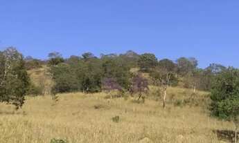 Imagem 3: FAZENDA 40 ALQUEIRES MUNICÍPIO DE PIRES DO RIO, RICA EM ÁGUA, PRÓX A SÃO MIGUEL DO PASSO Q