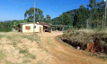 Imagem: Sitio com 5 Alqueires com 15 mil pés de