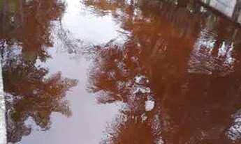 Imagem: Sítio da amizade